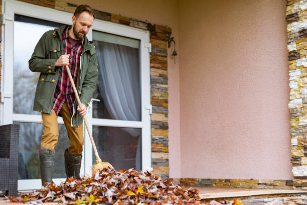 Best Basement Cleanout Services  in Canton, NC